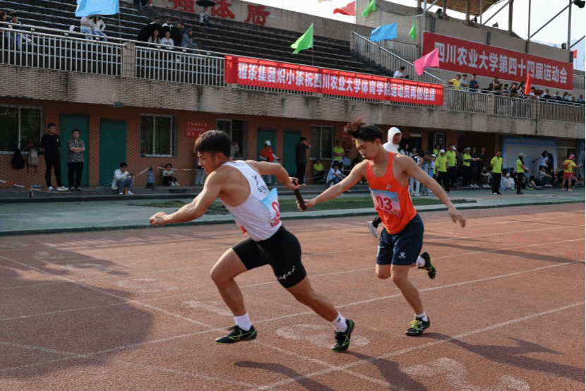 zoty中欧体育欧冠直播
