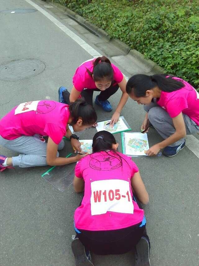 zoty中欧体育稳定线路图片