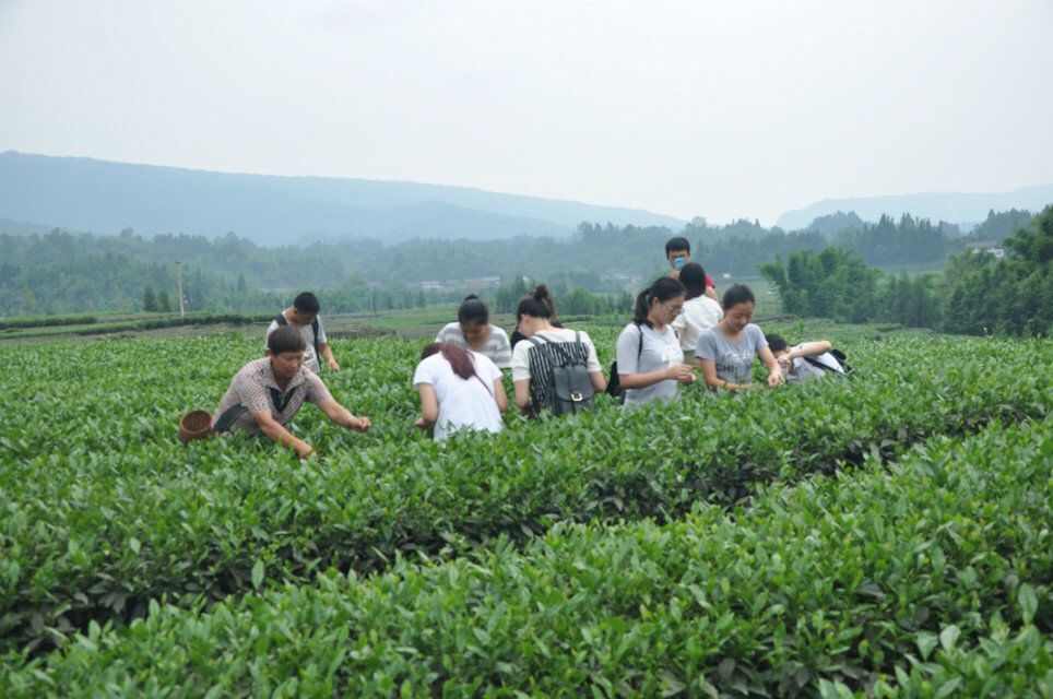 zoty中欧体育平台图片