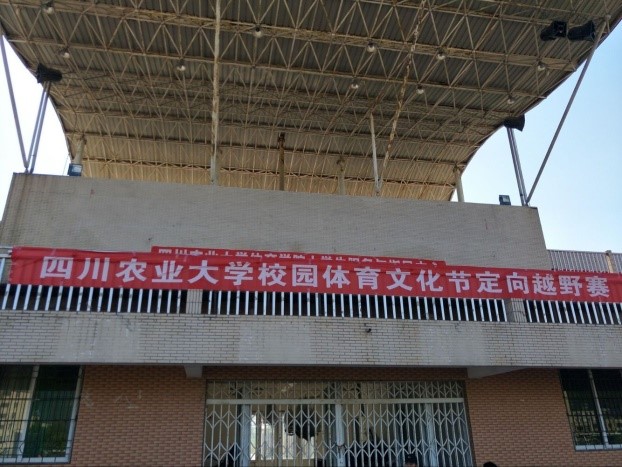 zoty中欧体育体育频道图片