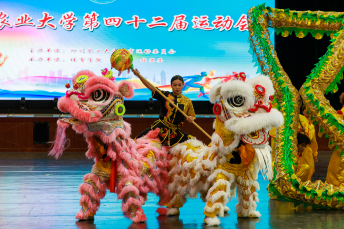 zoty中欧体育稳定线路