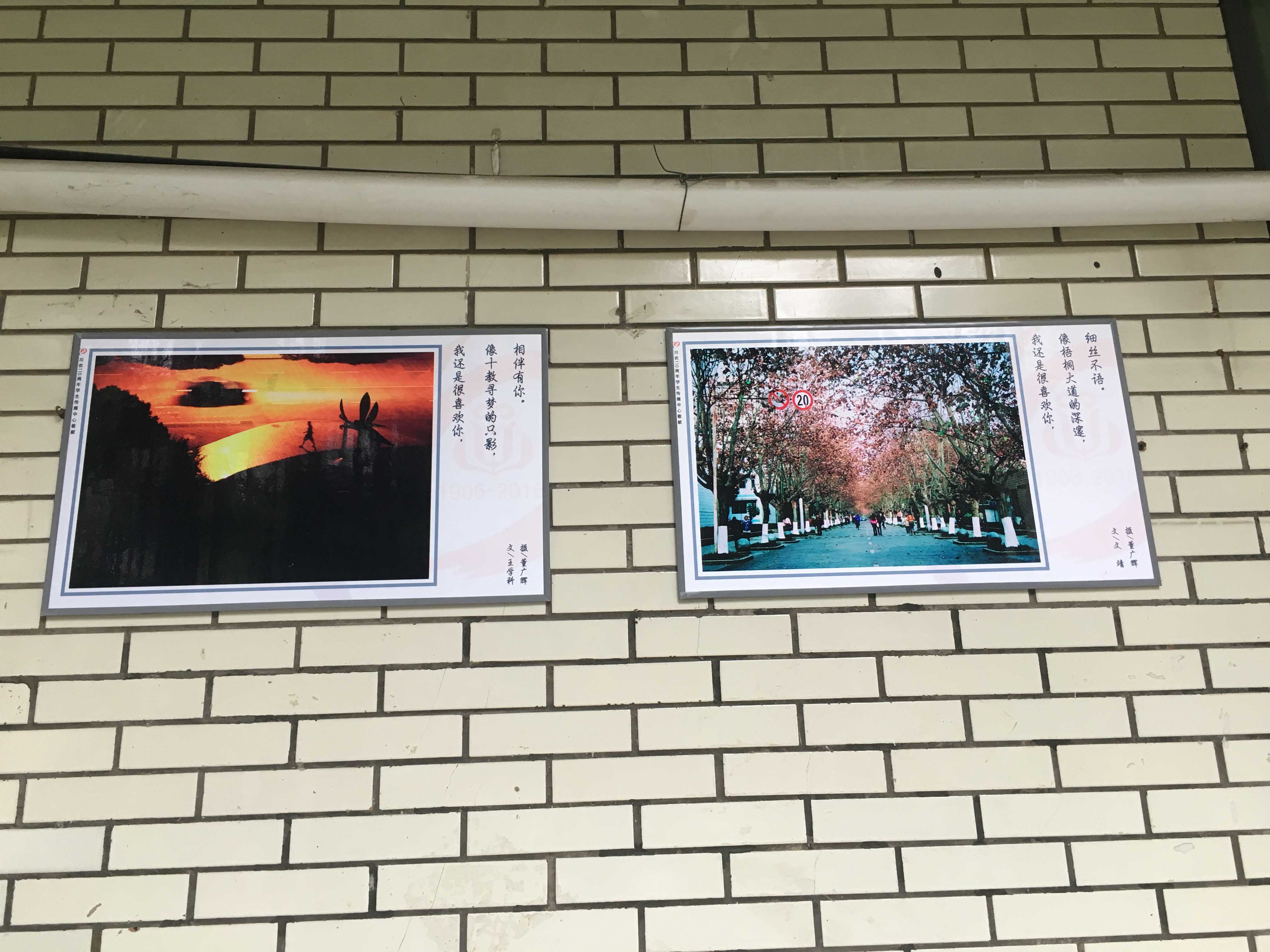 zoty中欧体育备用网址图片
