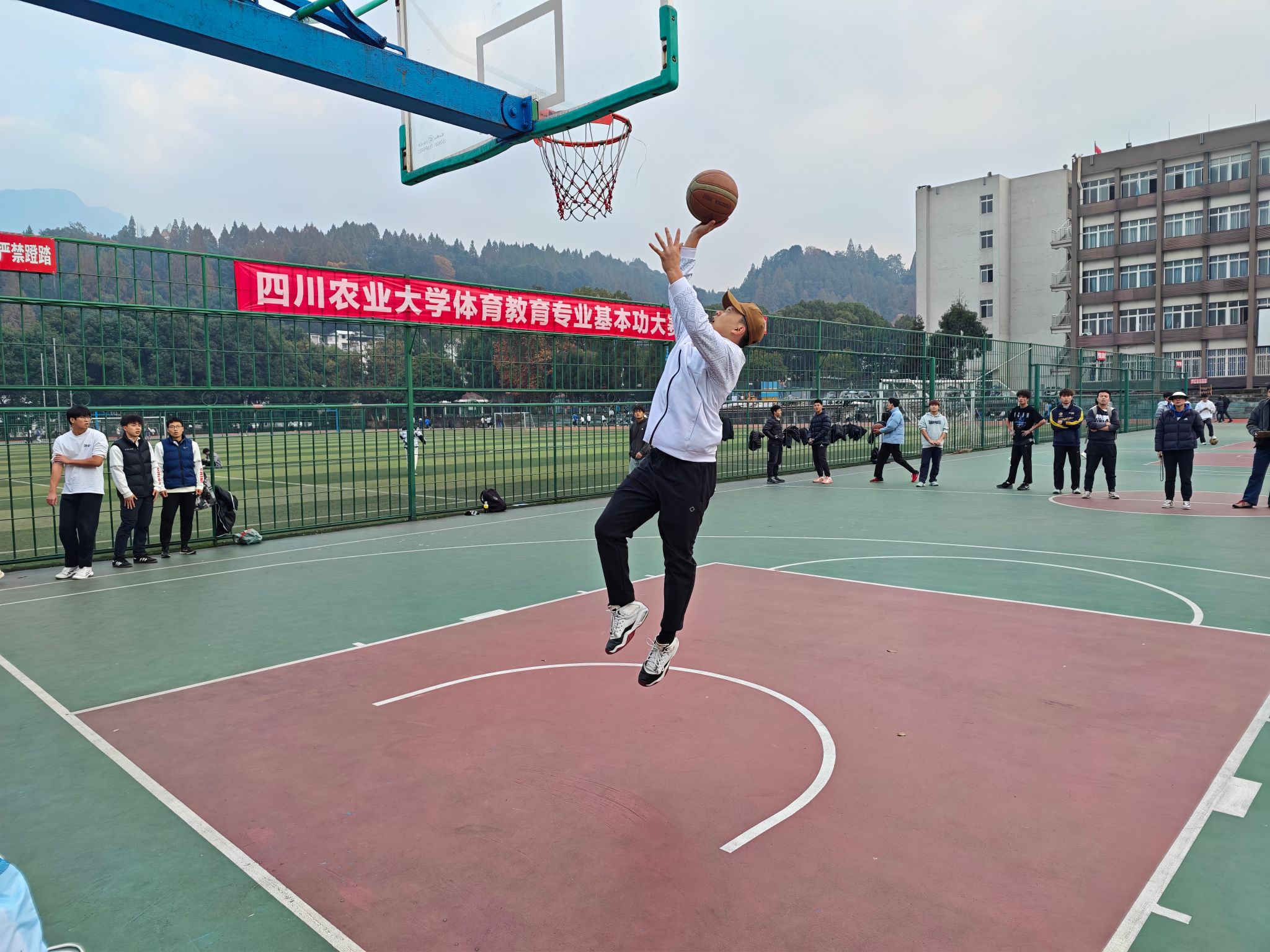 zoty中欧体育指定入口
