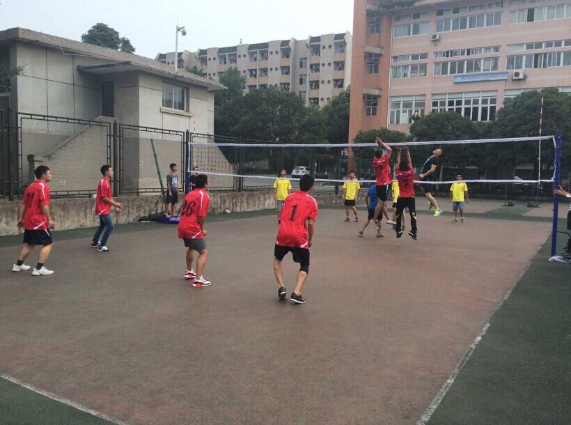 zoty中欧体育数据中心图片