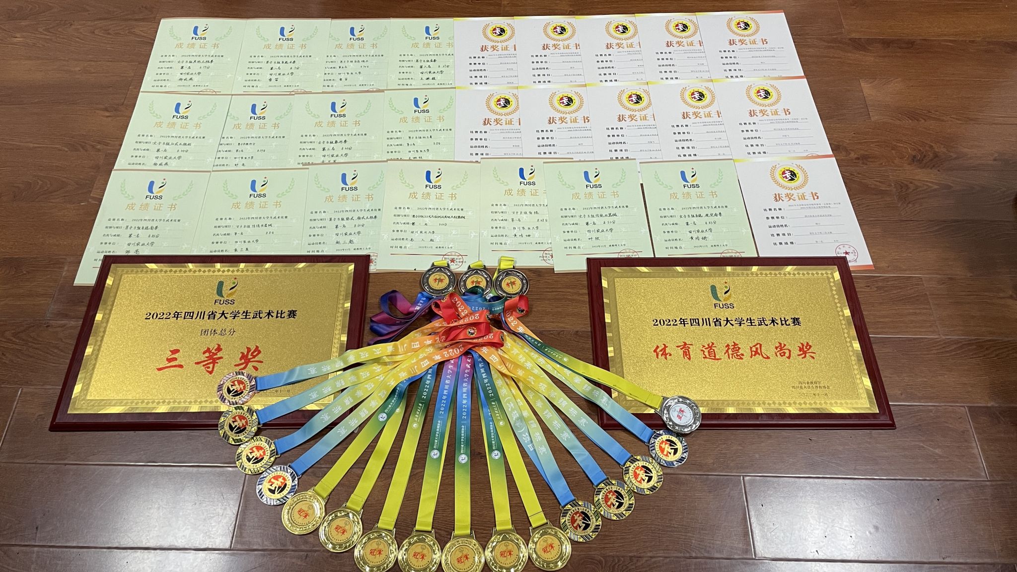zoty中欧体育安全通道