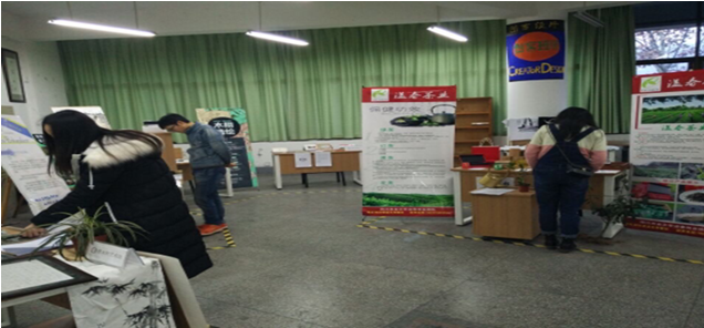 zoty中欧体育稳定线路图片