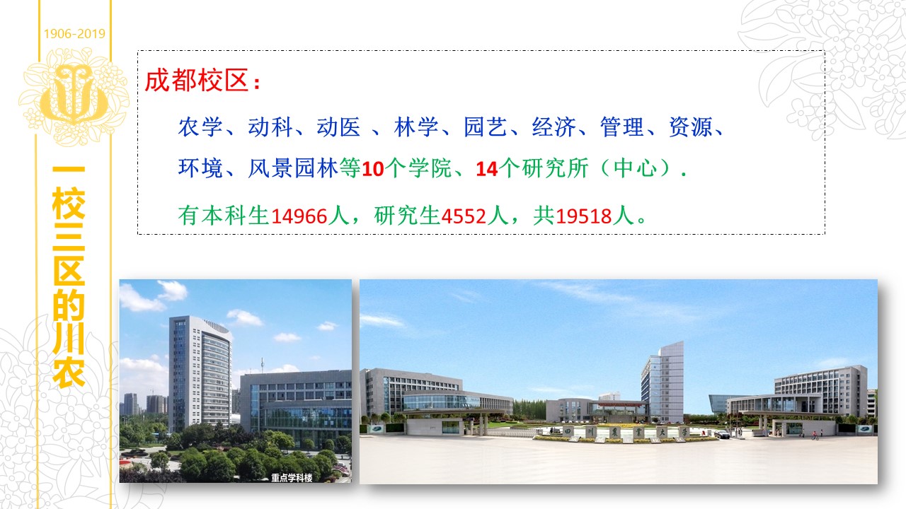 zoty中欧体育欧洲杯