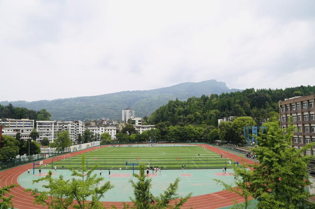 zoty中欧体育稳定线路图片