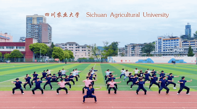 zoty中欧体育超级联赛