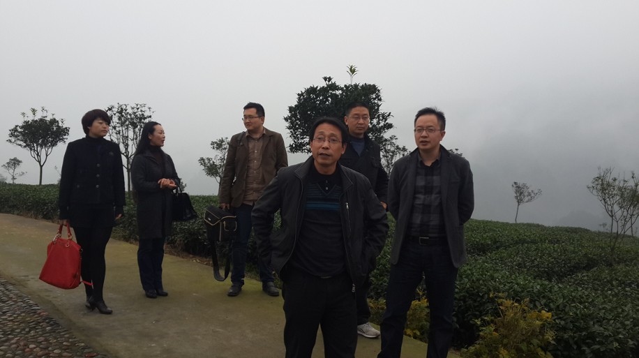zoty中欧体育超级联赛图片