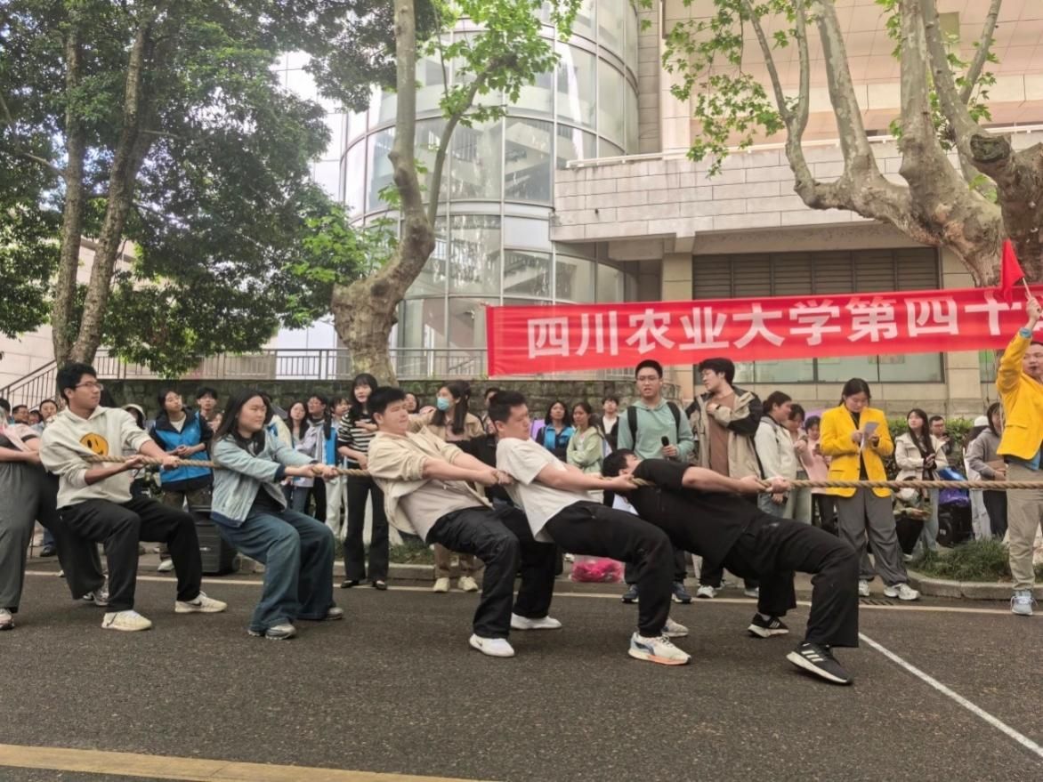 zoty中欧体育手机版