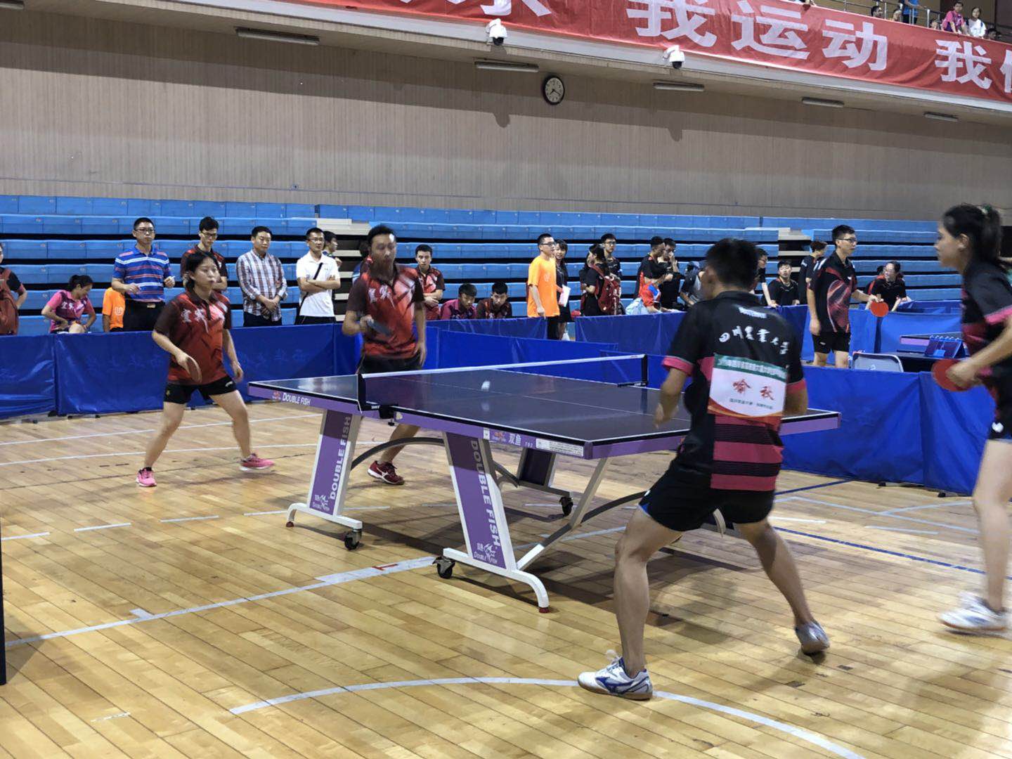 zoty中欧体育官方指定端图片