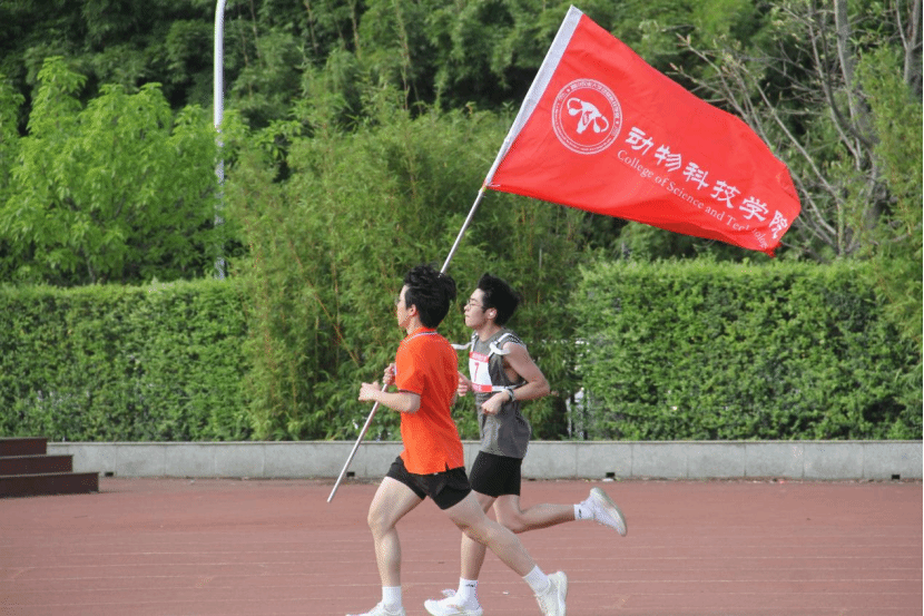 zoty中欧体育核心通道