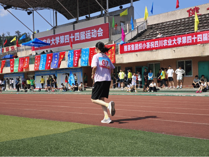zoty中欧体育数据中心