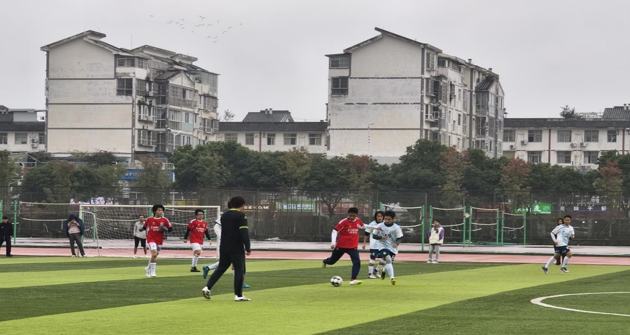 zoty中欧体育欧冠直播