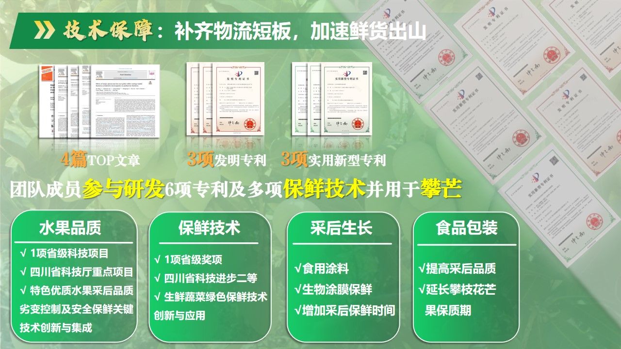 zoty中欧体育欧洲杯