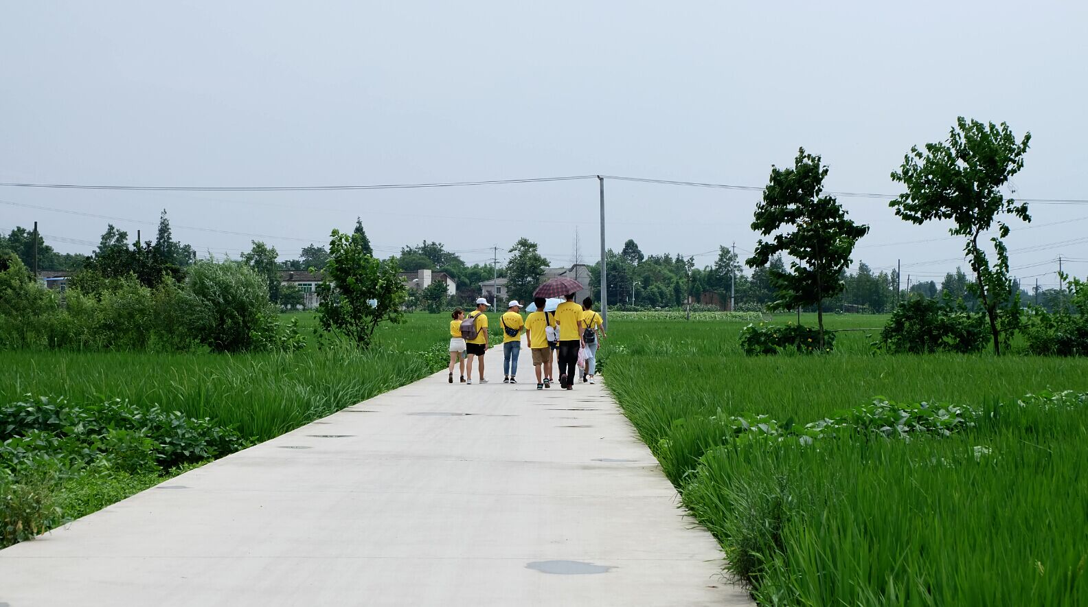 zoty中欧体育官方线路图片