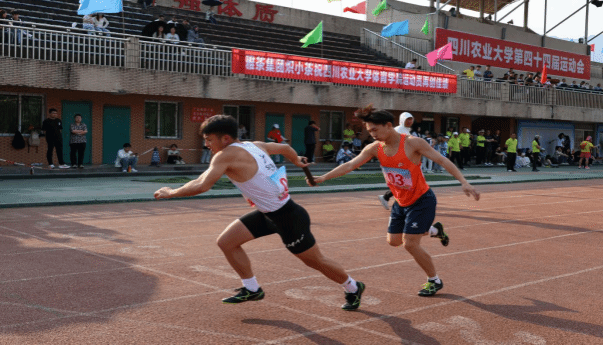 zoty中欧体育超级联赛