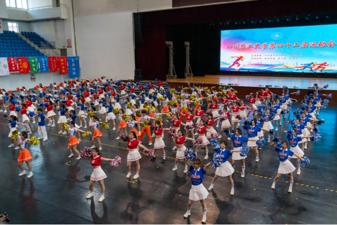 zoty中欧体育互联系统