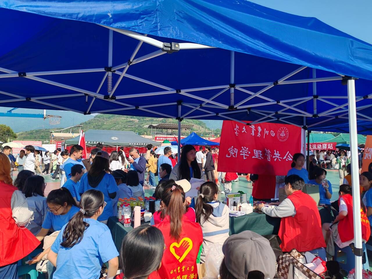 zoty中欧体育互联系统