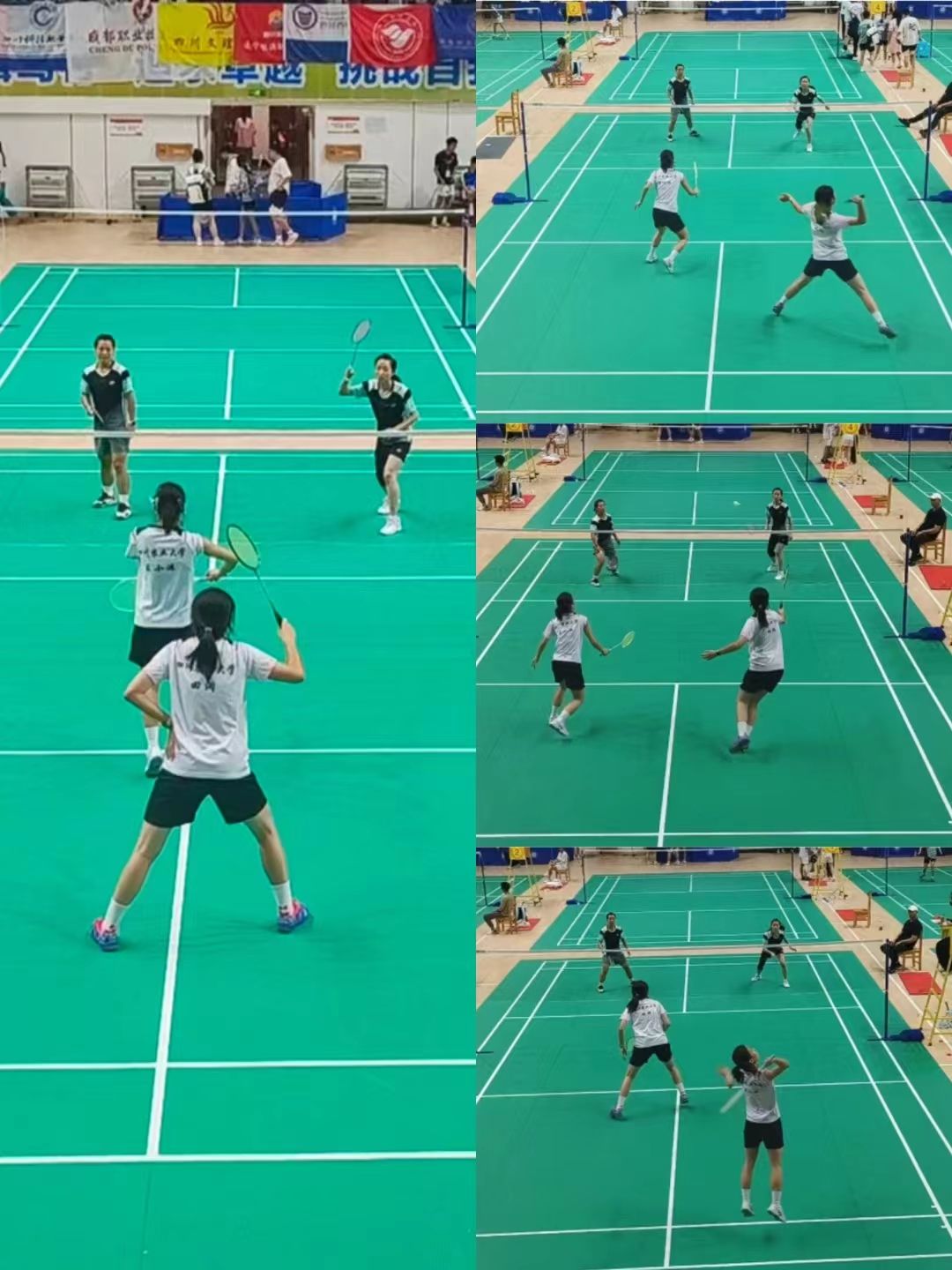 zoty中欧体育指定通道
