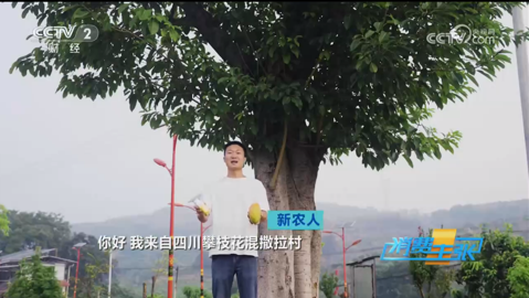 zoty中欧体育超级联赛