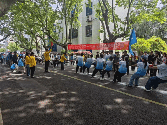 zoty中欧体育稳定线路