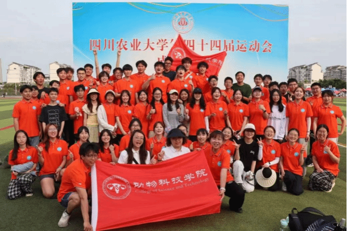 zoty中欧体育赛事快讯