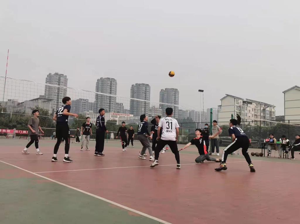 zoty中欧体育指定入口