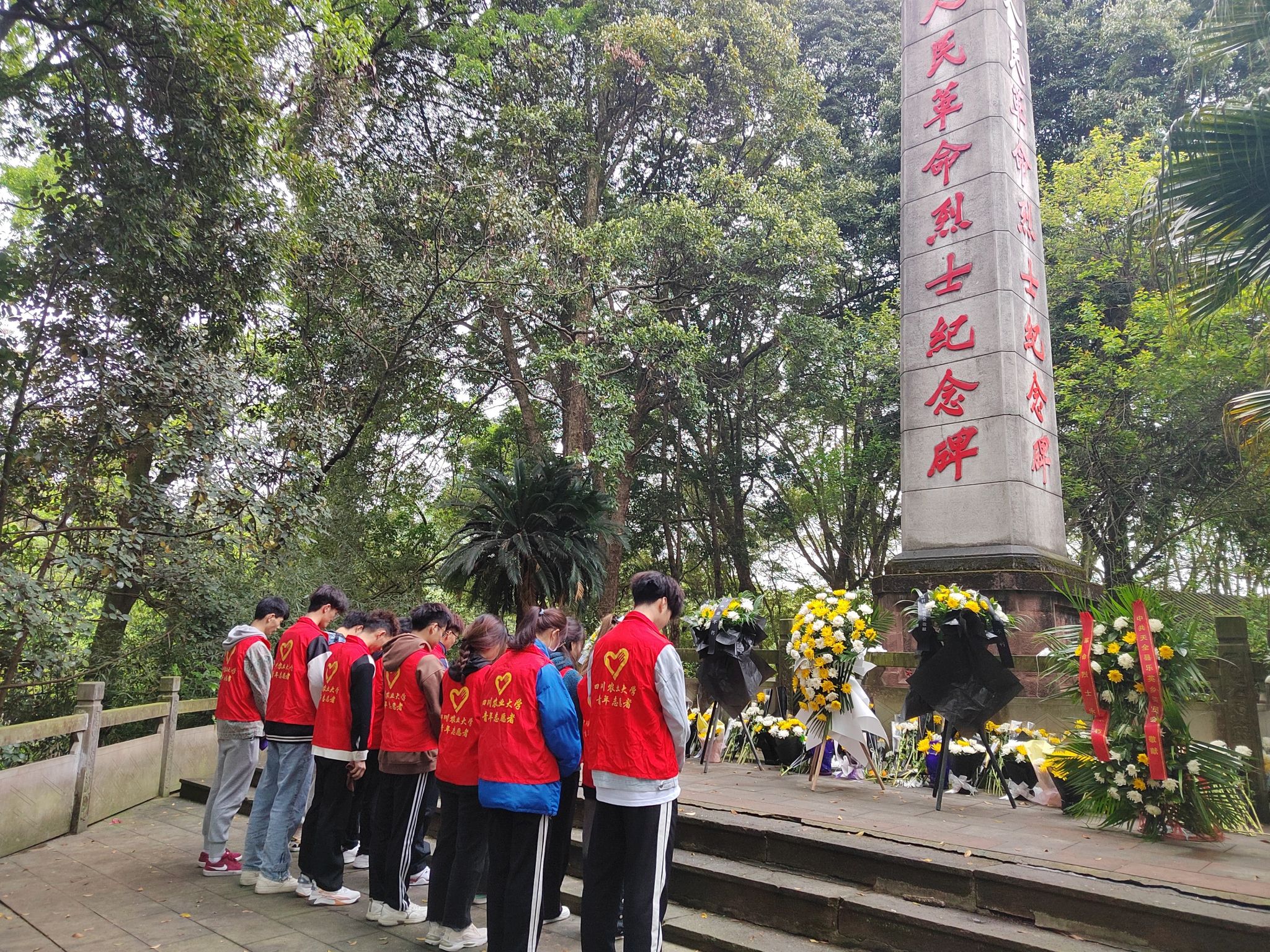 zoty中欧体育体育频道