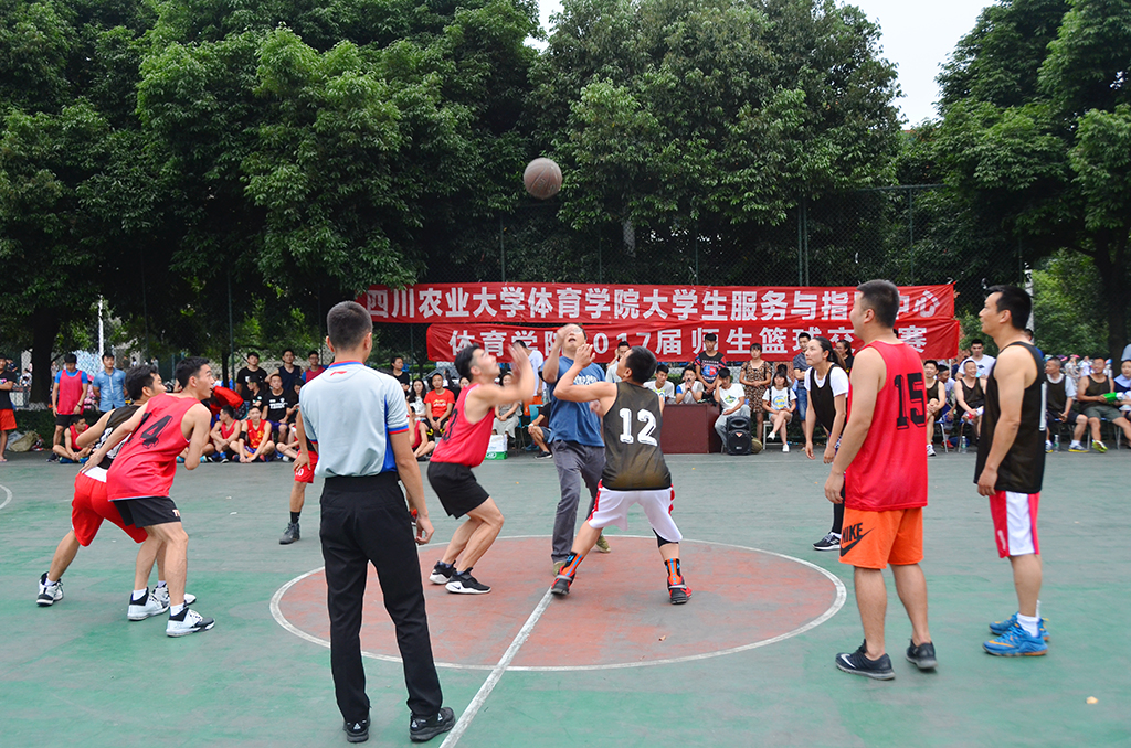 zoty中欧体育稳定线路图片