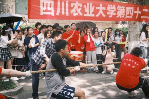 zoty中欧体育稳定线路