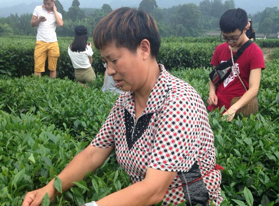 zoty中欧体育超级联赛图片