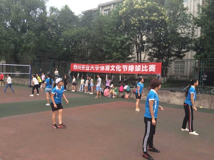 zoty中欧体育官方线路图片