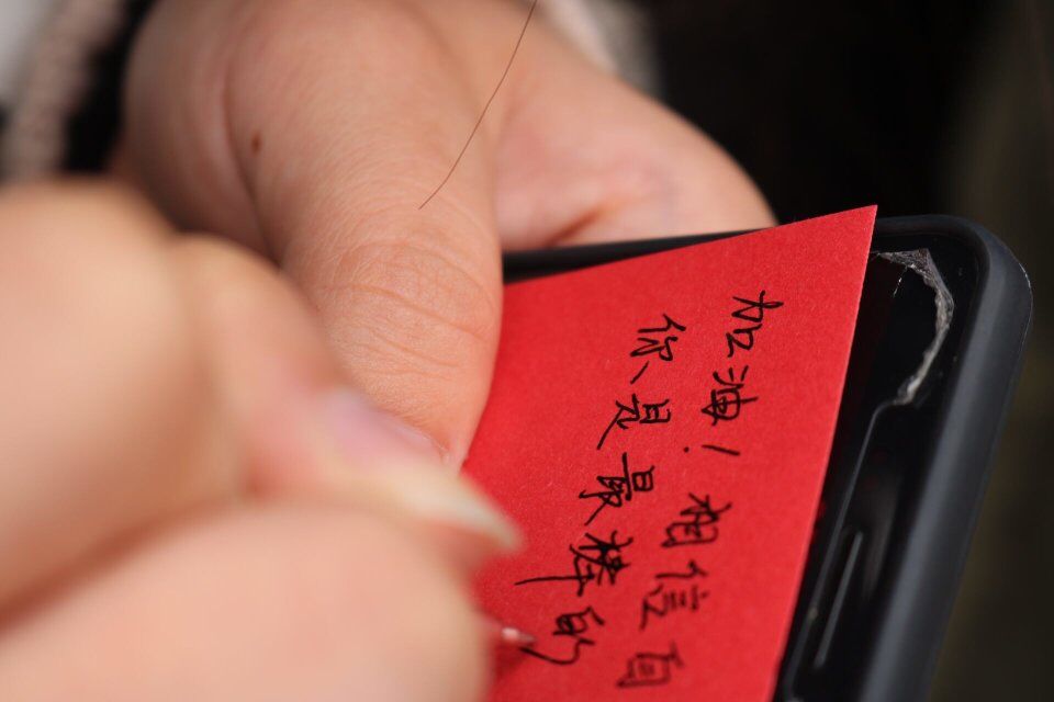 zoty中欧体育欧洲杯图片