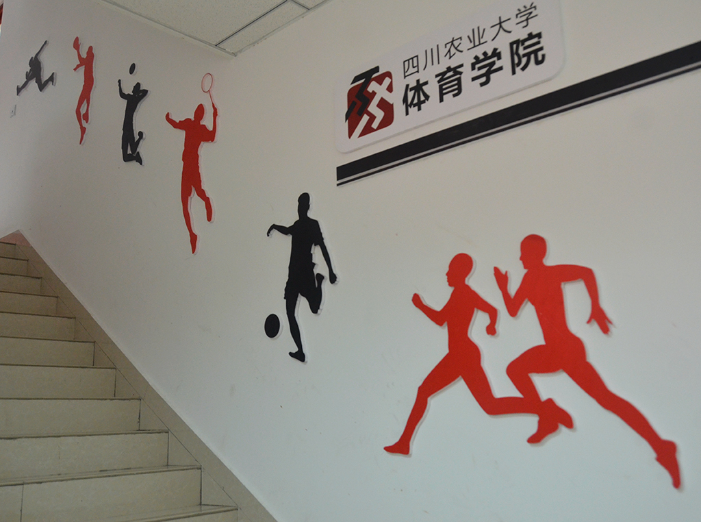zoty中欧体育客户端图片