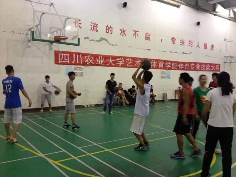 zoty中欧体育赛事快讯图片