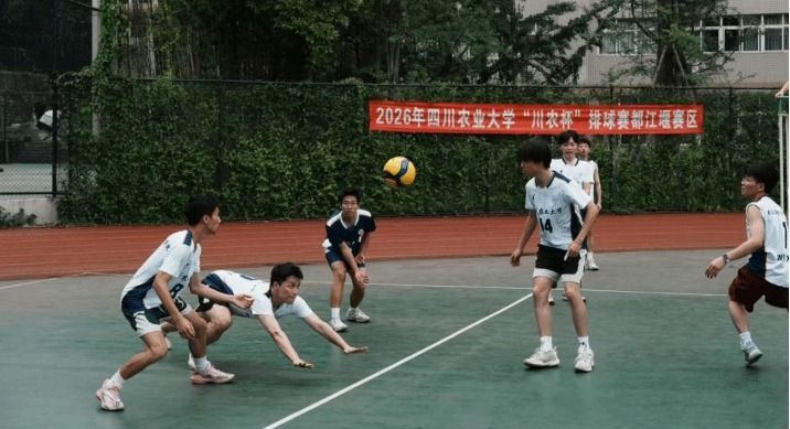 zoty中欧体育互联系统