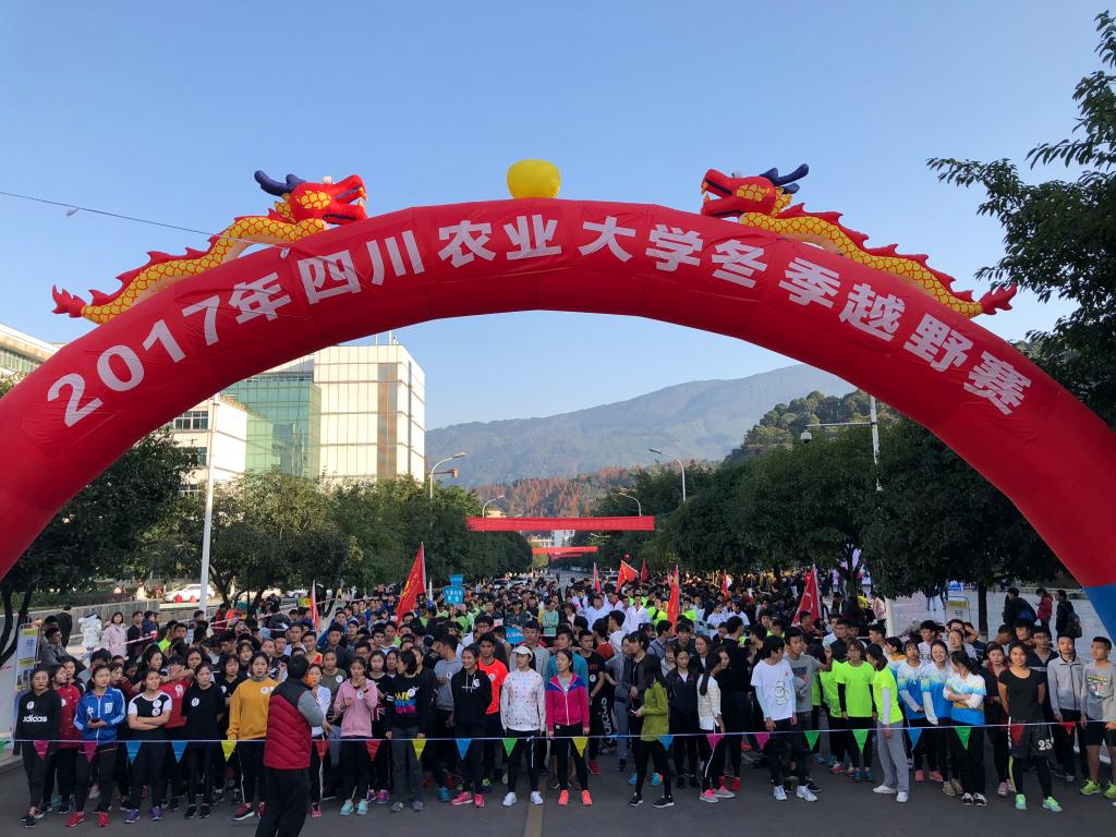 zoty中欧体育赛事快讯图片
