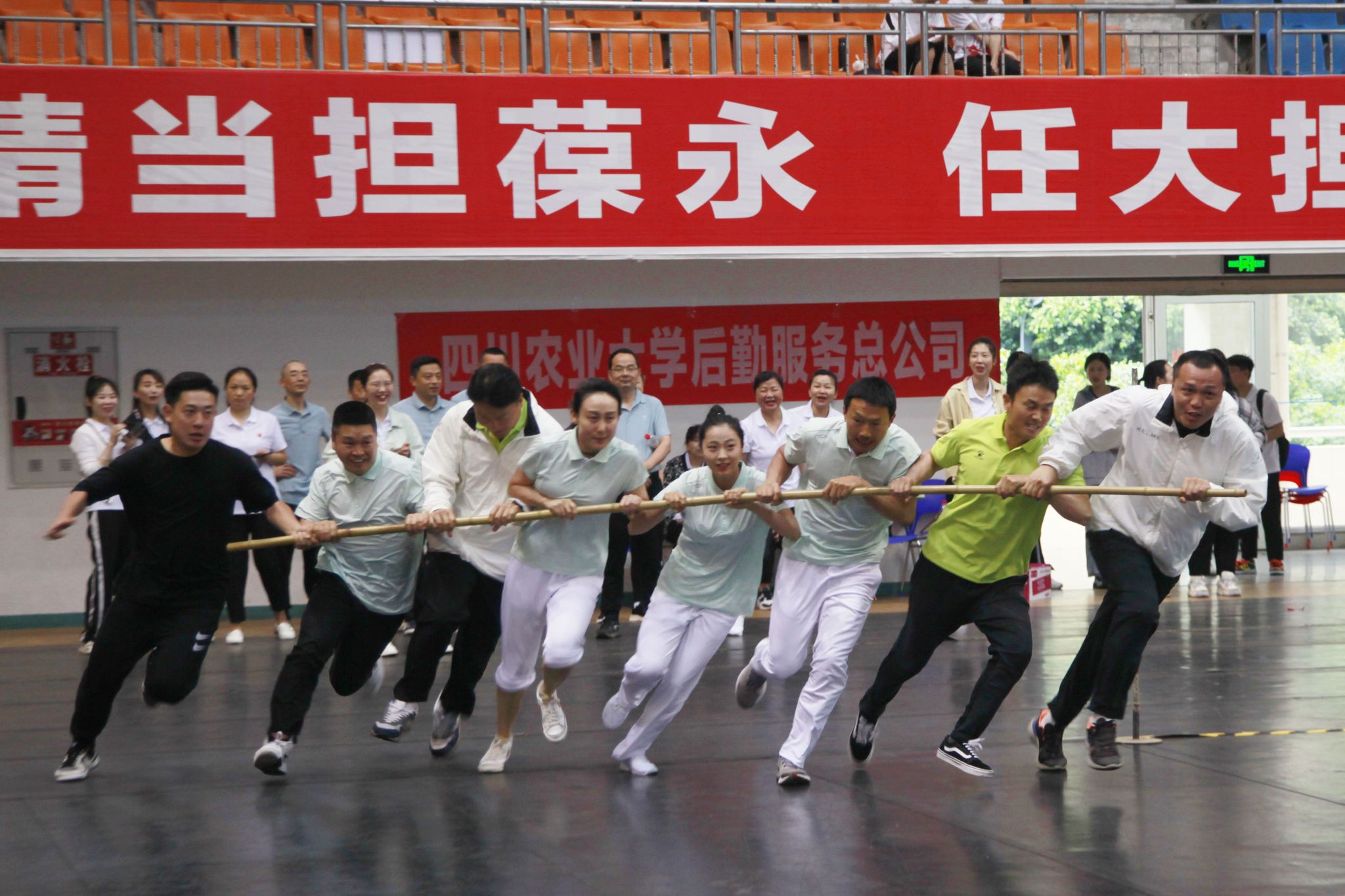 zoty中欧体育备用网址