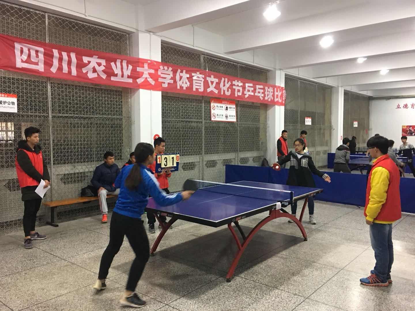 zoty中欧体育加速节点图片