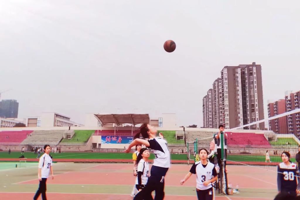 zoty中欧体育加速节点