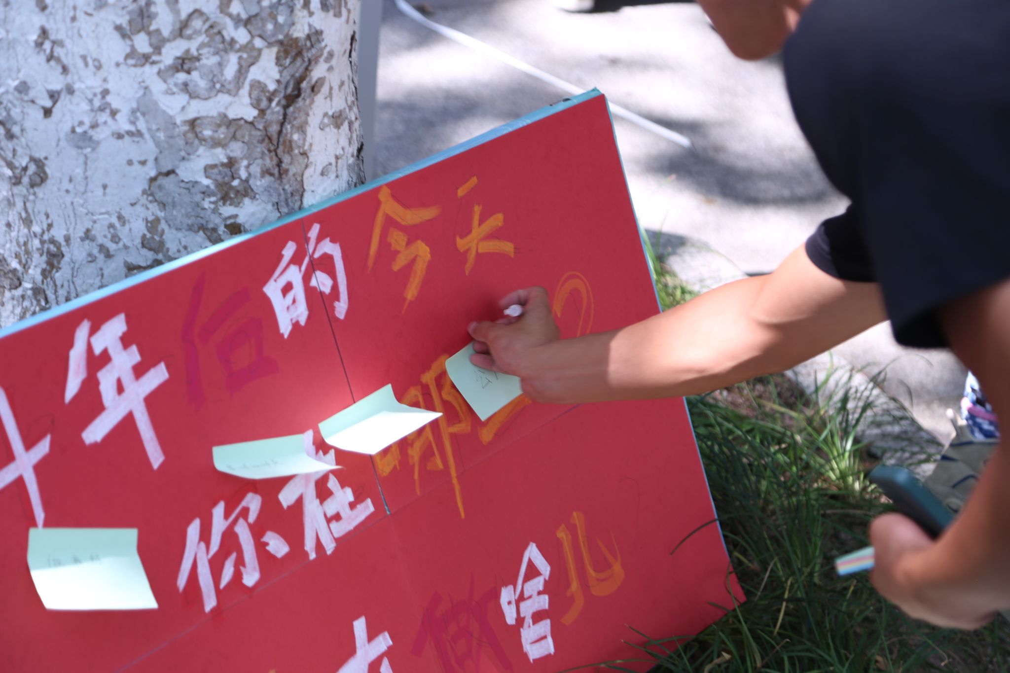 zoty中欧体育指定入口