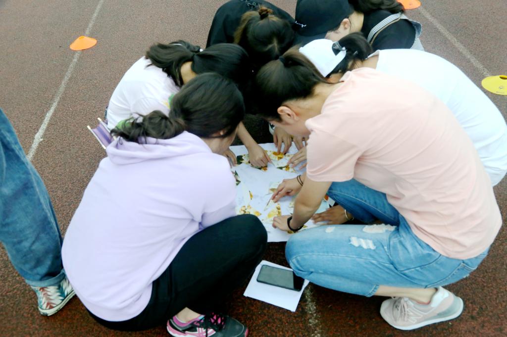 zoty中欧体育APP下载