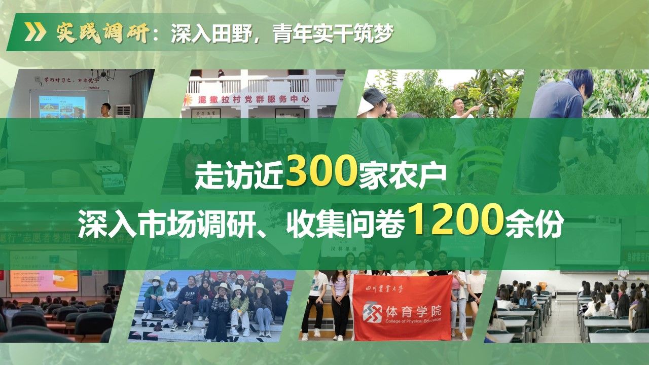 zoty中欧体育APP下载