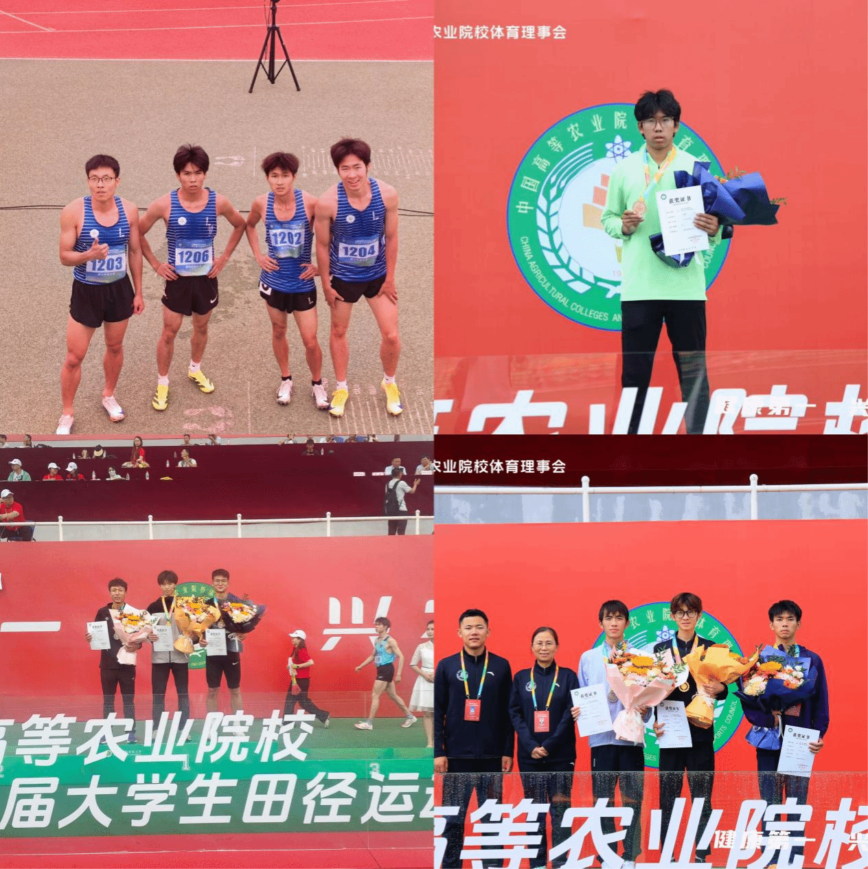 zoty中欧体育客户端图片