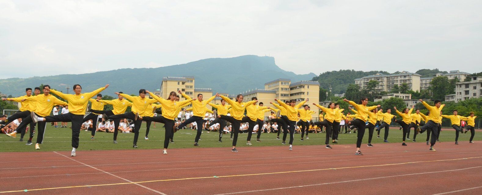 zoty中欧体育APP下载