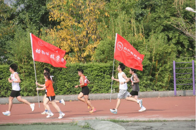 zoty中欧体育安全通道