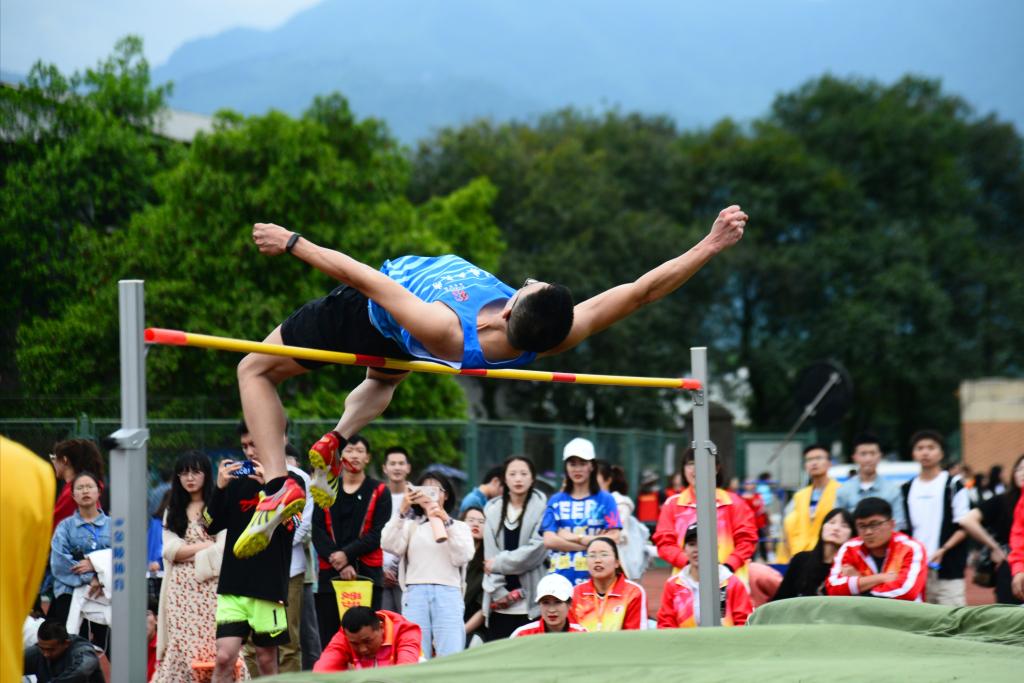 zoty中欧体育指定通道