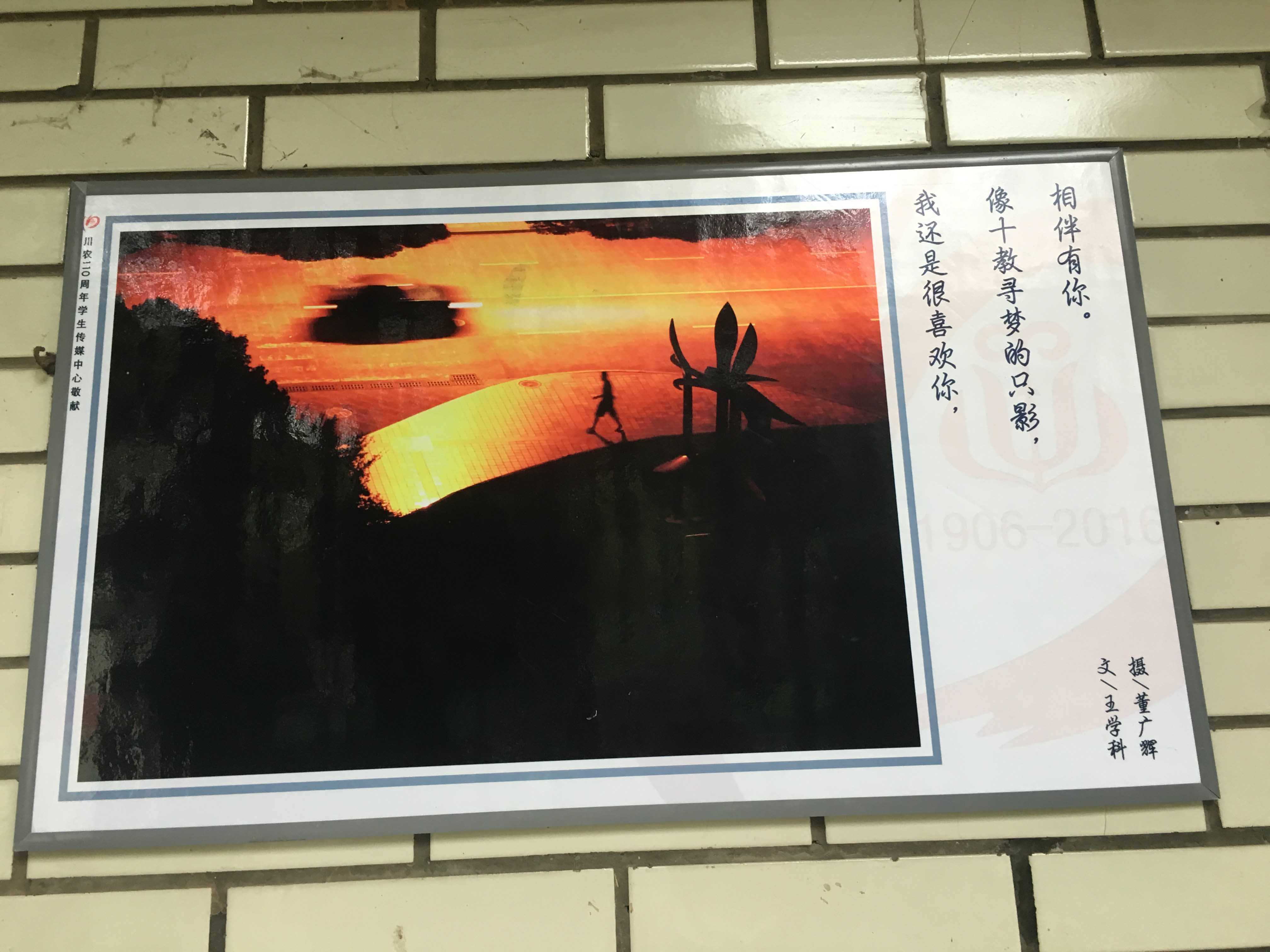 zoty中欧体育APP下载图片